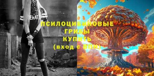 ПСИЛОЦИБИНОВЫЕ ГРИБЫ Балабаново