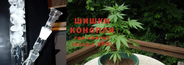 трава Балахна