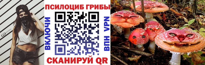 наркошоп  OMG сайт  Псилоцибиновые грибы Psilocybine cubensis  Урюпинск 