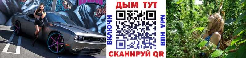 продажа наркотиков  Урюпинск  Канабис Amnesia 